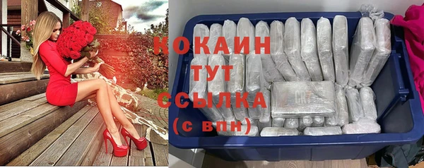 прущий лед Алзамай