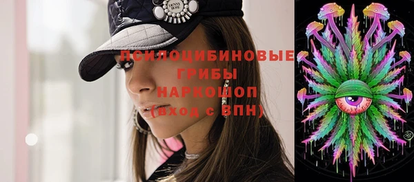 прущий лед Алзамай